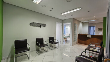 Rua Álvaro Anes – Pinheiros (RZ 0062)